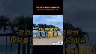 현재 강원도 양양이 폭망한 이유를 알면 소름돋는 이유!!~ㅁㅊ!!