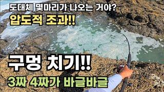 완전 대박 구멍을 찾았습니다!! 여기는 뭔데? 3짜 4짜가 계속 나오는거야?