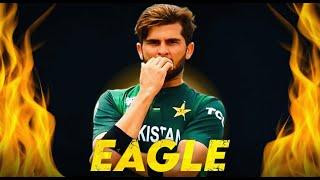 Shaheen Afridi X Big Dawgs ● Eagle Edit 