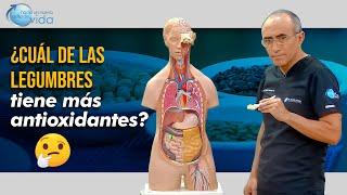  Descubre las legumbres más poderosas ¿Cuál tiene más antioxidantes? 