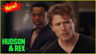 Hudson & Rex 2024 | Trial And Error | Hudson & Rex New Episodes 2024 Full HD