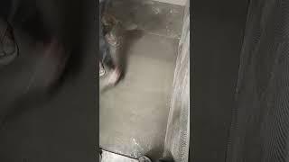 washroom floor fitting tiles size 24x48 tiles colour dark and short video