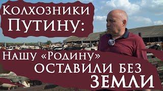 Как продавали «Родину»: в Пензенской области передовое хозяйство оставили без земли