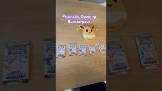 Prismatic Evolutions Evee pouch #pokemon #pokemoncards #tcg #prismaticevolutions #pokemontcg