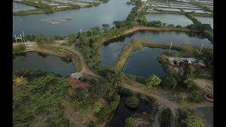 Sicao Green Tunnel  360°  | Tainan 4k