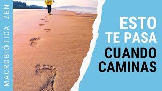 11 COSAS QUE TE PASAN CUANDO CAMINAS TODOS LOS DÍAS | Caminar es bueno  Macrobiótica Zen