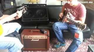 EDEN EM275 & Epiphone guitars