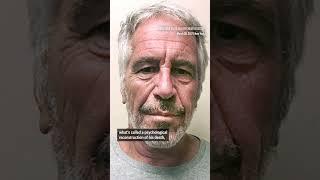 New details of Jeffrey Epstein’s death revealed in records obtained by AP. #shorts