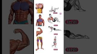 exercice Muscu #maison #musculation #salles #pecs #biceps #fitness #exercice #exercices #abdos