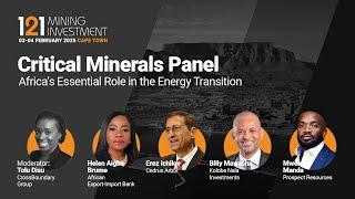 Critical Minerals Panel: Africa’s Essential Role in the Energy Transition