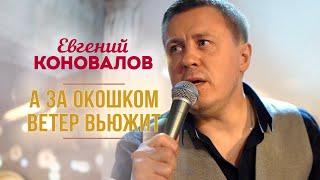 Евгений Коновалов - А за окошком ветер вьюжит (Концерт в ресторане Гранат, Рязань, 2023)