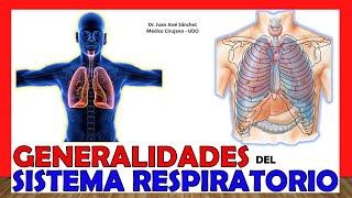  RESPIRATORY SYSTEM in 18 Minutes!!. Easy and simple!