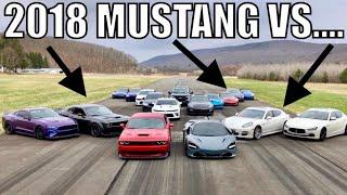 2018 MUSTANG GT EATS 800HP HELLCAT / PORSCHE PANAMERA / INFINITY Q50 in AIRPORT RACE!