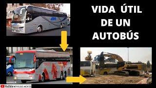 ¿CUÁL ES LA VIDA ÚTIL DE UN AUTOBÚS?