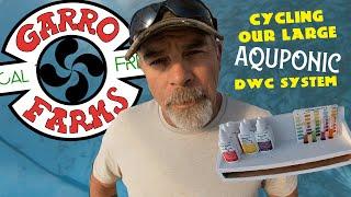 Cycling A Large Aquaponic System