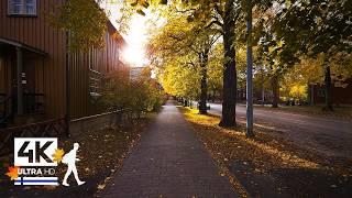 Suburban Autumn Walk in Helsinki, Finland  Slow TV 4K