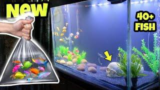 New 3 Feet Fish Tank Setup & Adding Fish! | Aquarium Decoration