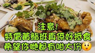 特價黃鮨班#龍庭食府#多倫多#加拿大