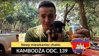 Kambodża - Nowy mieszkaniec chatki (odc. 139)