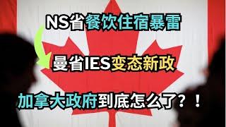 NS省餐饮住宿暴雷，曼省IES变态新政，加拿大政府到底怎么了？｜加拿大移民｜留学移民｜新移民｜#S哥聊枫叶国