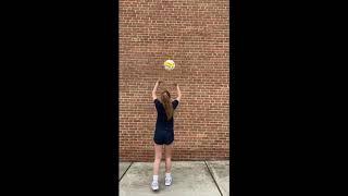 Setter Wall Series