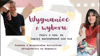 Szczere Rozmowy o Emigracji - Programista na Wygnaniu