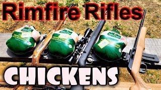 CHICKENS vs .22LR .17HMR & .22WMR RIFLES