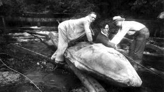 Grant's Getaways:  Oregon's Original Daredevil