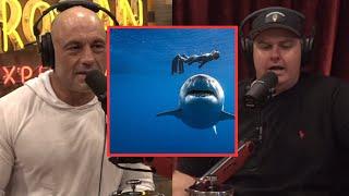 Breaking Down Shark Attacks with Joe Rogan & Tim Dillon