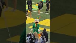 The Oregon Duck as Buddy the Elf