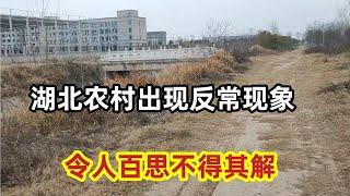 Why is the rural farmland in Wuhan, Hubei abandoned? Why are there so many single men in the village