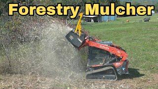 KUBOTA Forestry Mulcher/ Clearing Land with Powerful Skid Steer Mulcher (Episode 7)