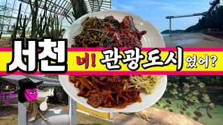 힐링되는 여행지 충남 서천. #1 | 서천군 맛집 | 꼭 한번 가볼만한 국립생태원 | 장항 맛집 | 코다리 맛집 | 장항 스카이워크 | 서천 차박 | 가을 여행지 추천 | 206