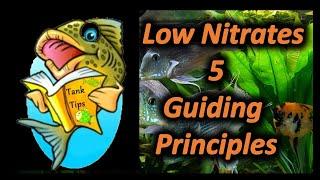 TANK TIPS; 5 Guiding Principles to a low Nitrate, Pristine Water Aquarium.