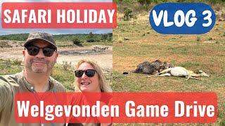 Sebetana Private Reserve - Safari Holiday VLOG 3 Welgevonden Game Drive