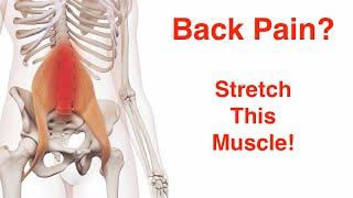 No More Back pain with the Psoas muscle stretch