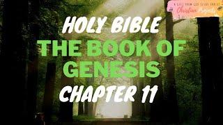 The Book of Genesis Chapter 11 || Holy Bible || Christians Projects