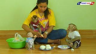 Tiny Baby Olly Disturb Brother Kako With Sister Luna Eats Fruits