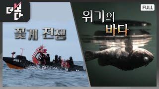 꽃게 전쟁 / 위기의 바다 | 더 보다 34회 (KBS 2024. 11. 17)