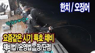 3배잡은)한치낚시 오징어낚시 예민한시기 특효 채비 /채비법 /운영법