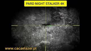 O rei da Serra d'Ossa - PARD NIGHT STALKER 4K