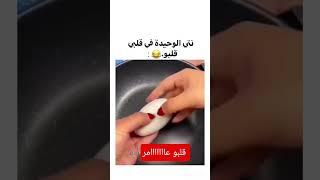 قلبو عامر عريسك