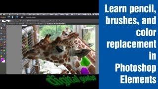 Learn Photoshop Elements - Lesson #5