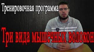 Программа тренировок "Три вида мышечных волокон".