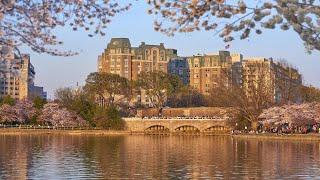 Top 10 Luxury 5 star Hotels in Washington DC, USA