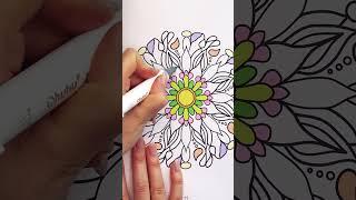  satisfying coloring to watch #colorbook #coloringbooklove