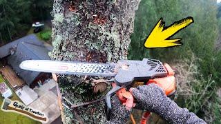 20 YEARS of Tree Work and We Have Never Seen This Happen! - Rotten Cedar & Fir Job