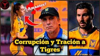 El Corrupto De SIBOLDI y la TRAICIÓN a TIGRES