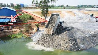 EP119.Rare Ativitie Building New Road On Water By Dozer & Dump Trucks Across Attractive Cattle Farm