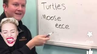 English Language, Plural Form: Turtle, Goose, Moose….. Go!